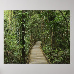 Póster Parque nacional de Daintree (patrimonio mundial 2