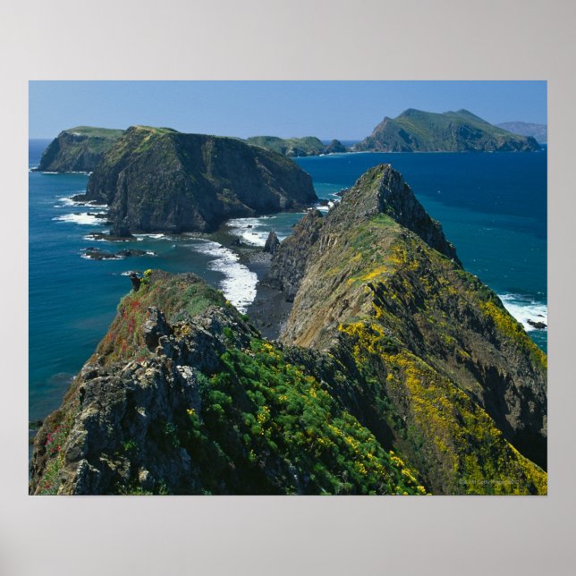 Póster Parque nacional de las Islas del Canal, Sur (Frente)