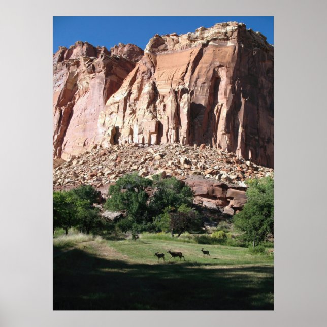 Póster Parque nacional de los arrecifes del Capitolio (Frente)