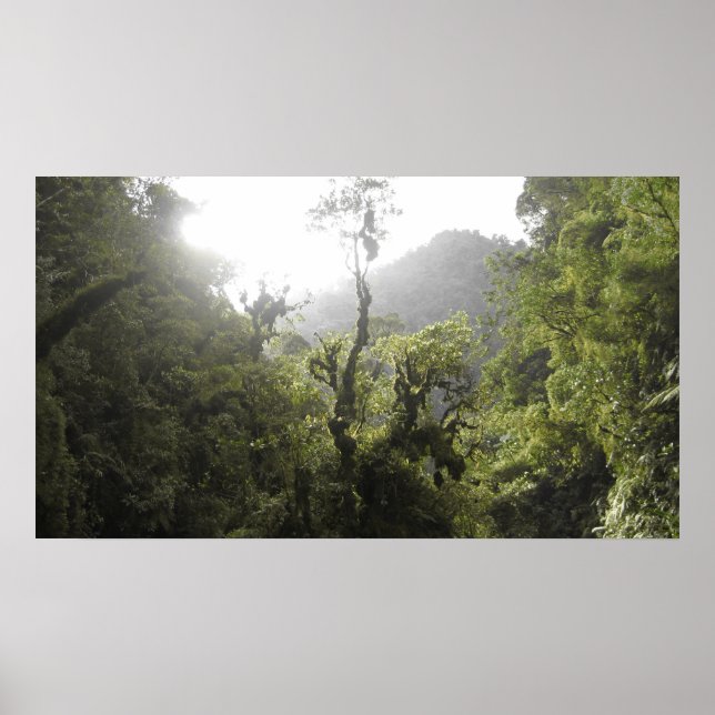 Póster Parque nacional de Manu (Frente)