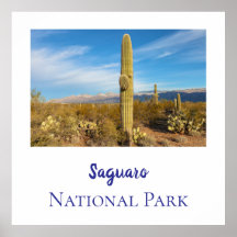 Parque nacional de Saguaro