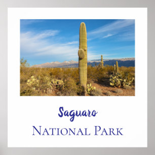 Póster Parque nacional de Saguaro