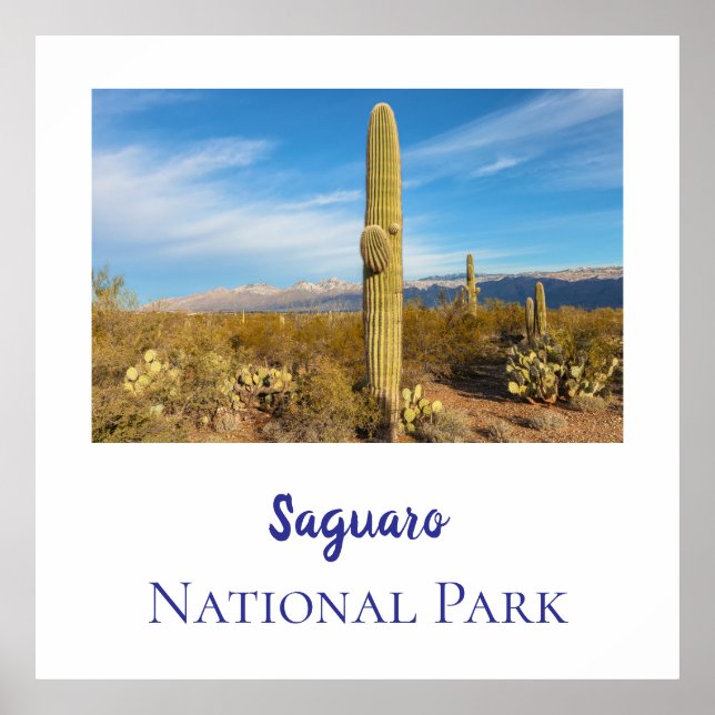 Póster Parque nacional de Saguaro (Frente)