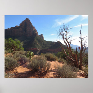 Póster Parque nacional de Zion