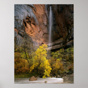 Póster Parque Nacional de Zion, Utah. EE.UU. Efímero