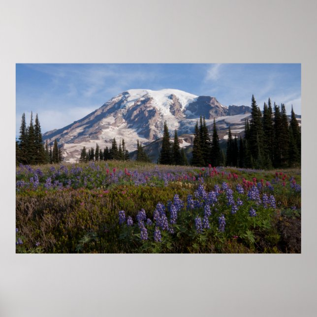Póster Parque Nacional del Monte Rainier, Monte Rainier 3 (Frente)