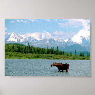 Póster Parque nacional Denali