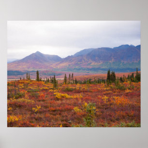 Póster Parque Nacional Denali, Alaska En El Otoño Escenar