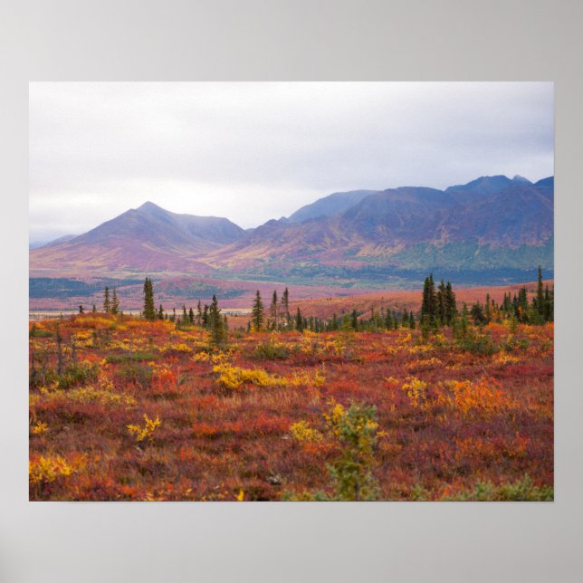 Póster Parque Nacional Denali, Alaska En El Otoño Escenar (Frente)
