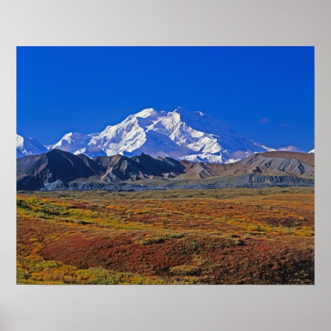 Póster Parque Nacional Denali Mt. McKinley, Alaska. (Frente)