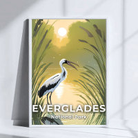 Parque Nacional Everglades | Cigüeña en Acuarela