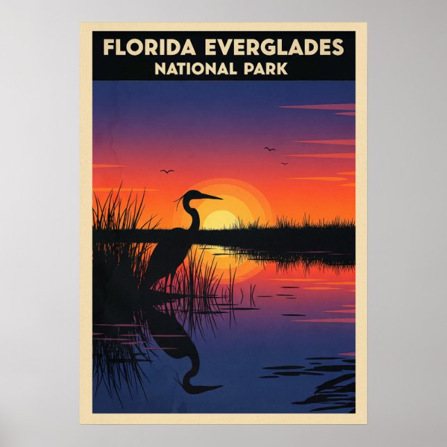 Póster Parque nacional Everglades de Florida V05 (Frente)