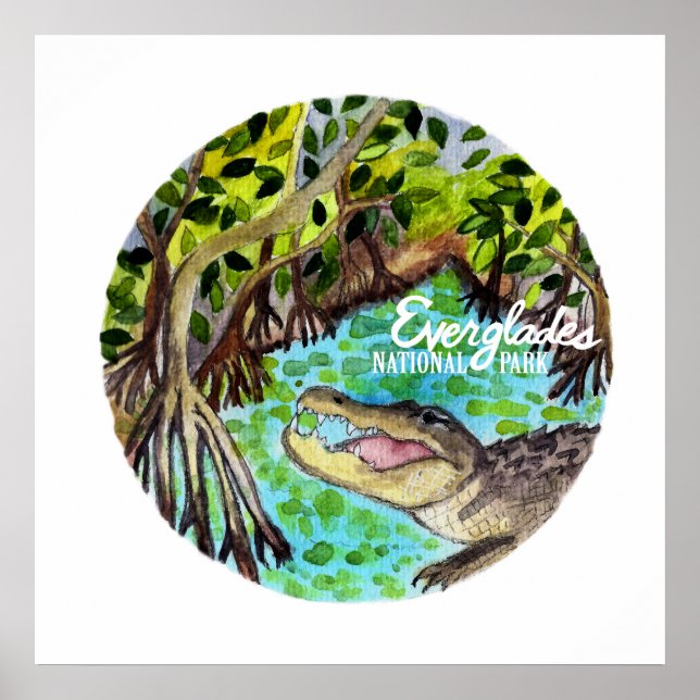 Póster Parque nacional Everglades Florida (Frente)