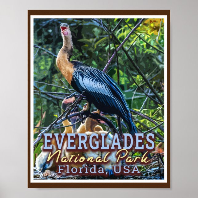 PÓSTER PARQUE NACIONAL EVERGLADES - FLORIDA ESTADOS UNIDO (Frente)