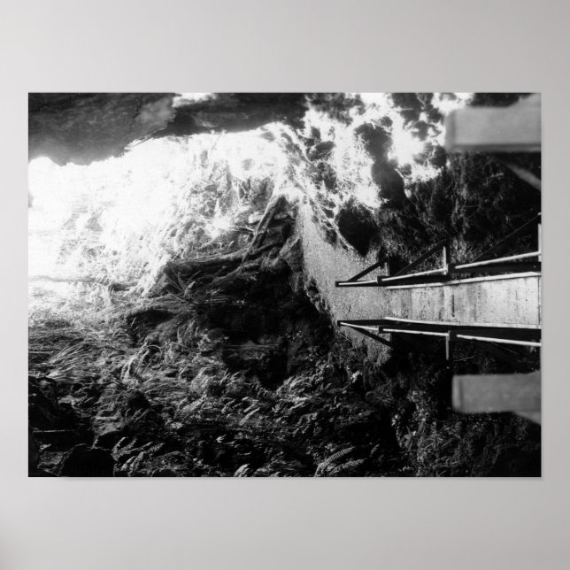 Póster Parque nacional Hawaii, vista de un tubo de lava (Frente)