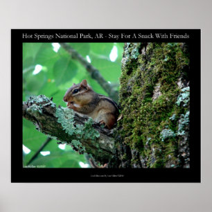 Póster Parque nacional Hot Springs, aperitivo AR Chipmunk
