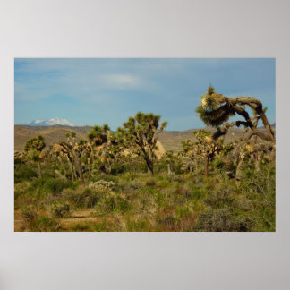 Póster Parque Nacional Joshua Tree Paisaje Desértico