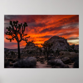 Póster Parque nacional Joshua Tree Red Sunset