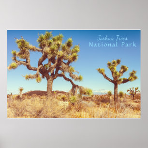 Póster Parque nacional Joshua Trees