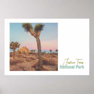 Póster Parque nacional Joshua Trees