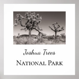 Póster Parque nacional Joshua Trees