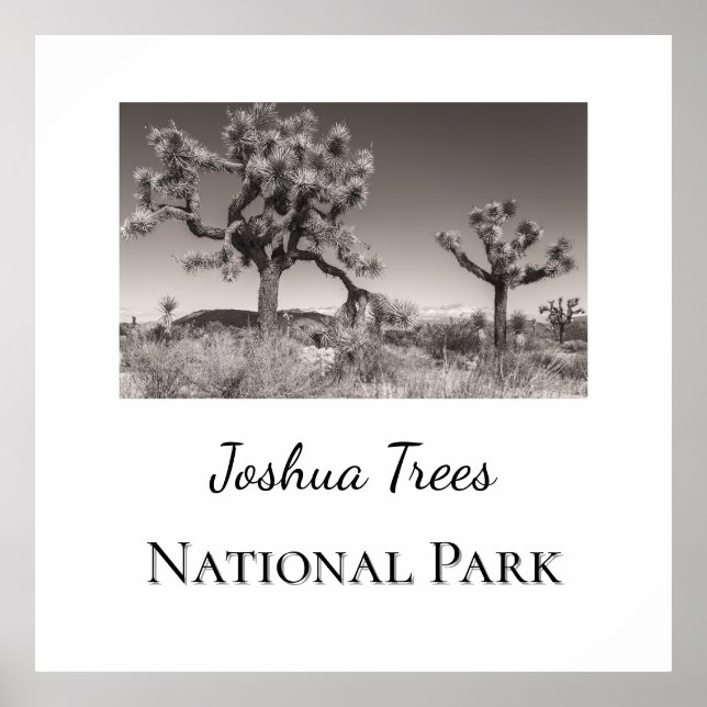 Póster Parque nacional Joshua Trees (Frente)