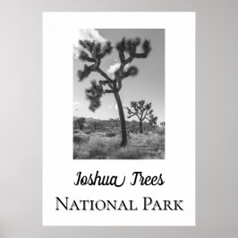 Póster Parque nacional Joshua Trees