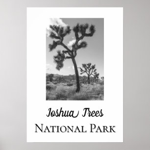Póster Parque nacional Joshua Trees