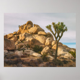 Póster Parque Nacional Joshua Trees