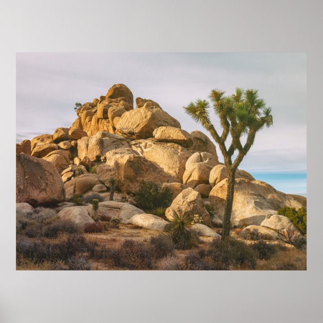 Póster Parque Nacional Joshua Trees (Frente)