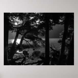 Póster Parque nacional Los alerces, paisaje frente al mar