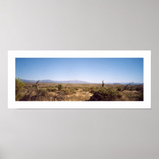 Póster Parque nacional McDowell