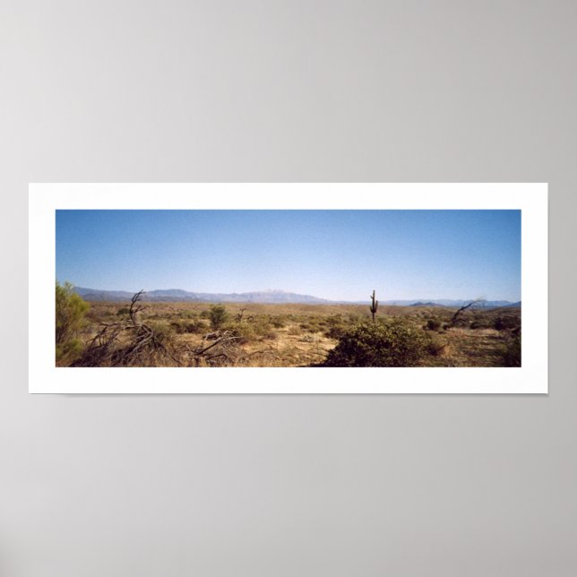 Póster Parque nacional McDowell (Frente)