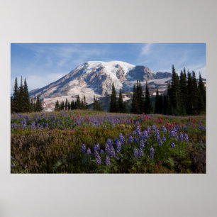 Póster Parque nacional Monte Rainier, Monte Rainier 3