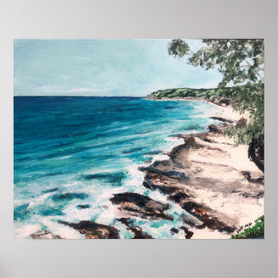 Póster Parque nacional Noosa