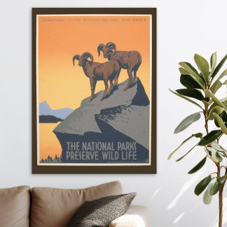 Póster Parque nacional - Preserve Wildlife - Afiche de ép