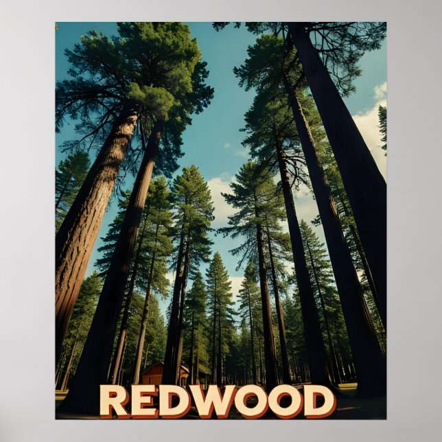 Póster Parque nacional Redwood (Frente)