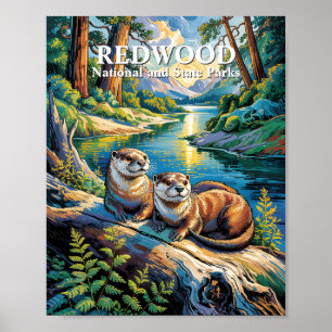 Póster Parque Nacional Redwood Animales Nutrias Estilo Va