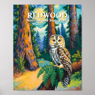 Póster Parque Nacional Redwood Bosque Búho Al Estilo Van
