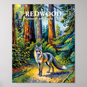 Póster Parque Nacional Redwood Bosque Van Gogh Zorro Pers