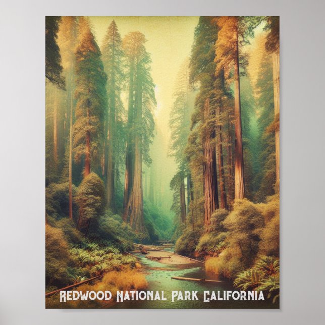 Póster Parque nacional Redwood California (Frente)
