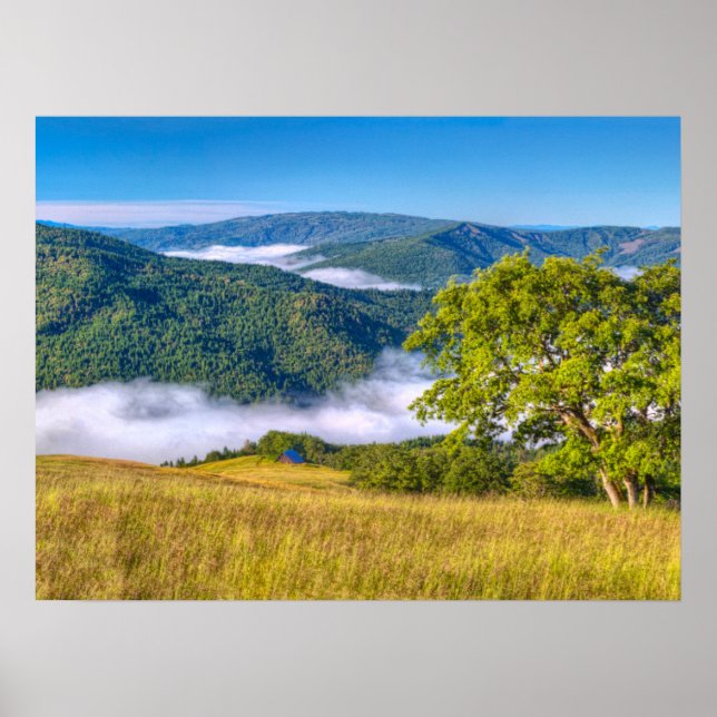 Póster Parque Nacional Redwood, California (Frente)