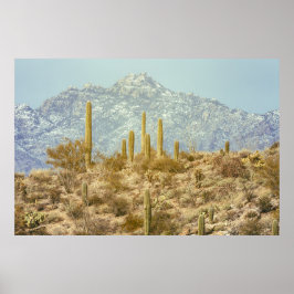 Póster Parque Nacional Saguaro