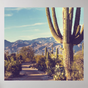 Póster Parque Nacional Saguaro, representación escénica.