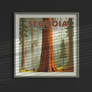 Póster Parque nacional Secuoia de Vintage