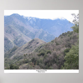 Póster Parque nacional Sequoia