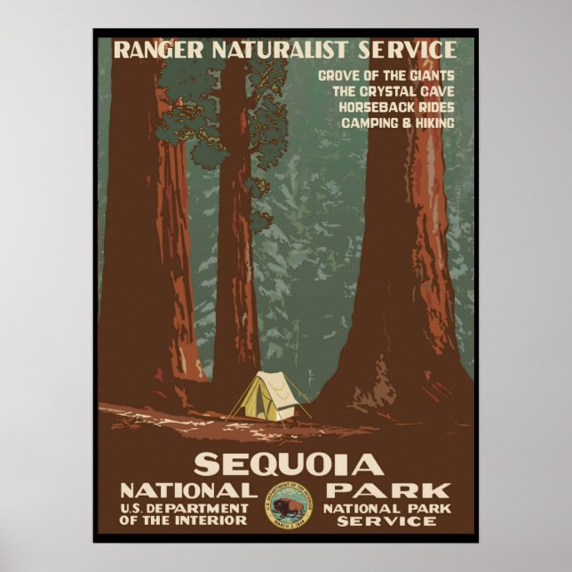 Póster Parque nacional Sequoia (Frente)