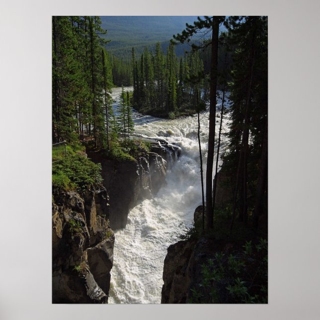 Póster Parque nacional Sunwapta Falls Jasper (Frente)