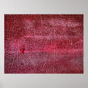 Póster Parque nacional Valle de la Muerte