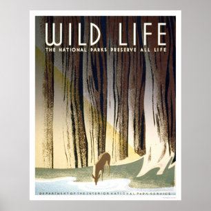 Póster Parque nacional Wild Life 1940 WPA